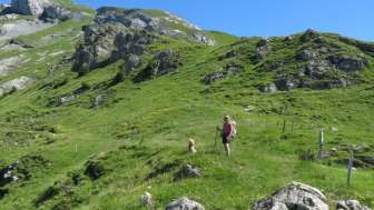 Ascent to Alp Jetz