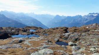 The Fessis route on Aeugsten is a beautiful opportunity to observe butterflies