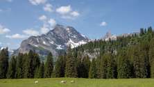 Landschaft in Braunwald