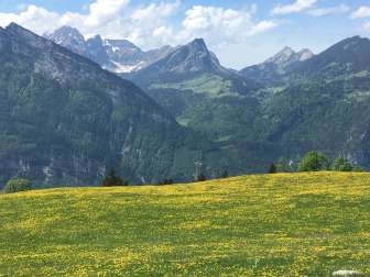 View of the Glarus Alps