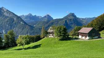 Plateau über Mollis