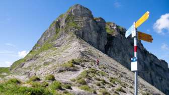 Der Wiggis