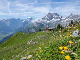 Alpwiese mit Berghütte am Gumen oberhalb von Braunwald vor imposanter Alpenkulisse