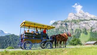 Family enjoying a summer carriage ride with two horses on the sunny terrace of Braunwald, surrounded by impressive mountain scenery.