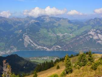 View from the Nüenchamm to the Walensee