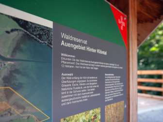 Information board Forest pearls floodplain area behind Klöntal