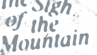 2606 Sigh Image Guidle