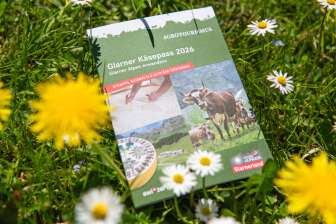The 2026 Glarus Cheese Passport, a stamp book lying in nature