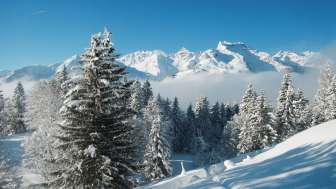 Winter hiking trail Weissenberge