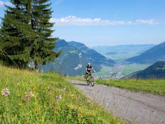 Block from the Fronalp/Mullern into the Linthebene