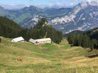Obere Nüenalp
