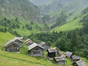 Tschinglen-Alp - mystisch mit Nebel
