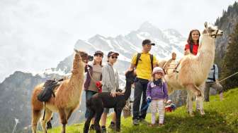 Lamatrekking