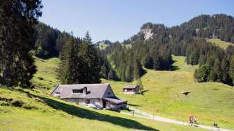 Alp Habergschwänd mit Sunnespitz