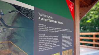 Information board Forest pearls floodplain area behind Klöntal