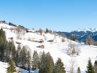 Dorf Braunwald