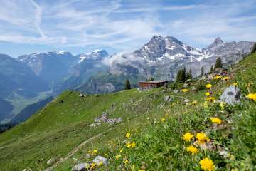 Alpwiese mit Berghütte am Gumen oberhalb von Braunwald vor imposanter Alpenkulisse