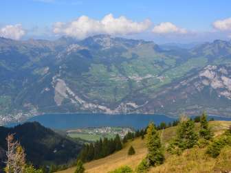 View from the Nüenchamm to the Walensee