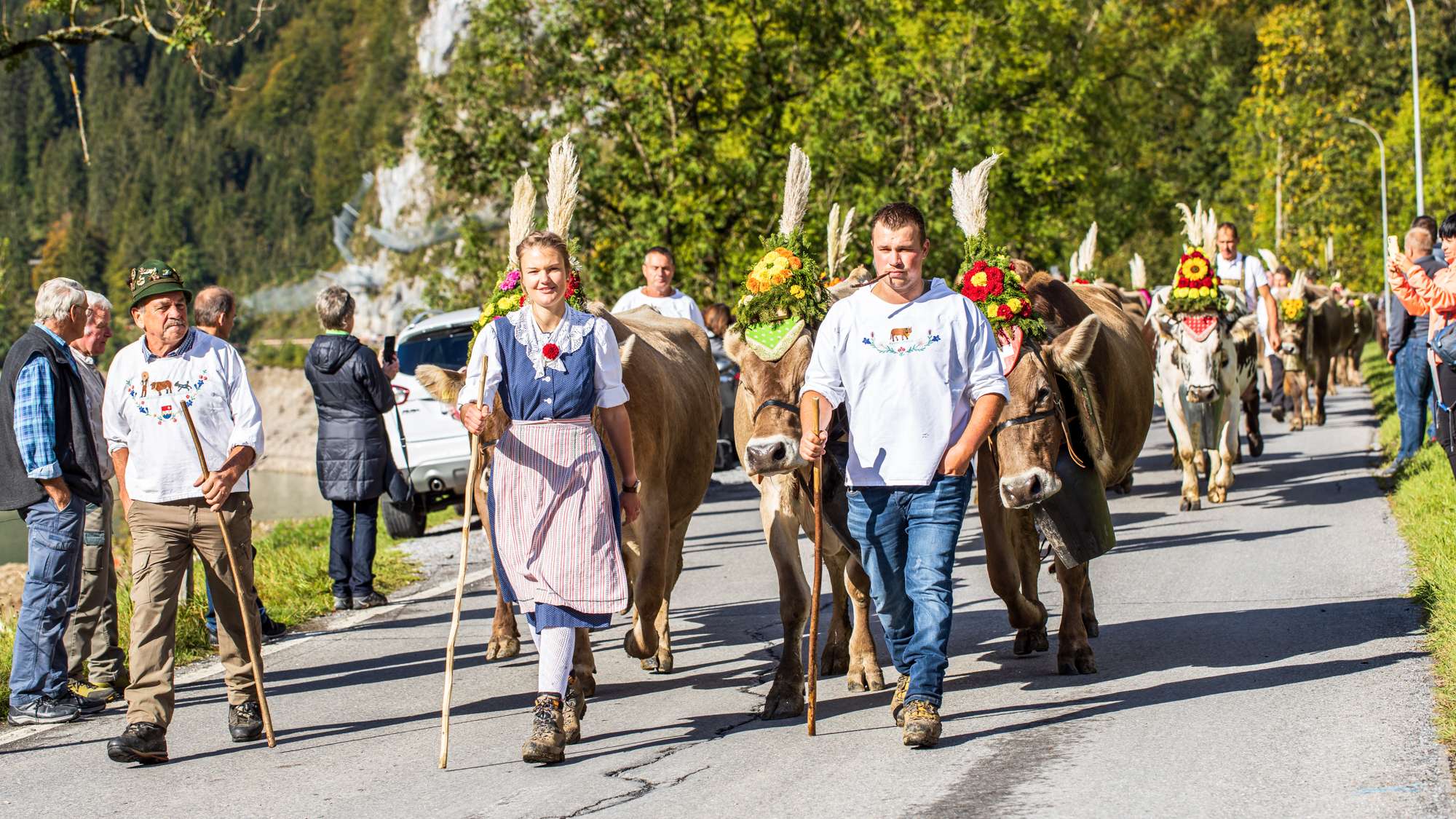 Return from the Alps