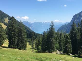 Rossweidhöchi