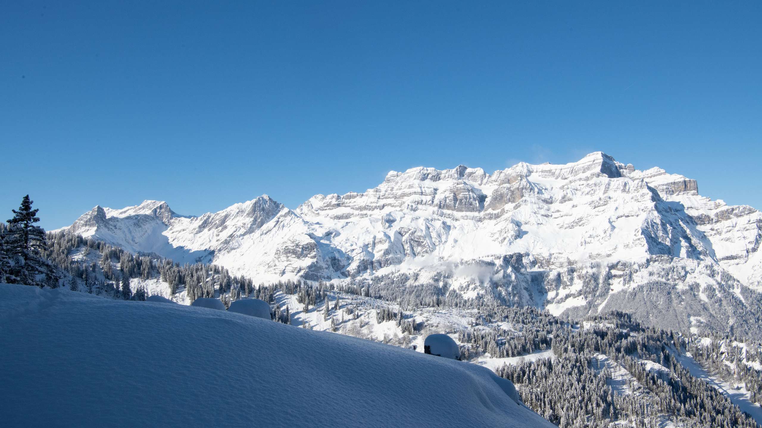 Lawinenbulletin & Schneesituation SLF