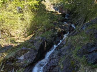 © Glarus Nature Centre