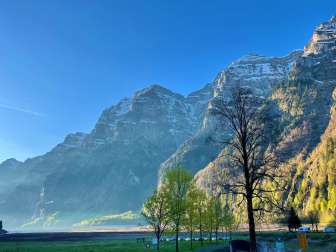 Morgenstimmung