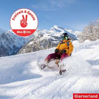 Logo of the Blick Winter Awards with someone sledding in Weissenberge in the Background and red font and the Logo and which category they are in.