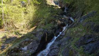 © Glarus Nature Centre
