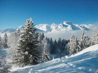 Winter hiking trail Weissenberge