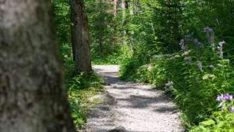 On the path along Lake Klöntal