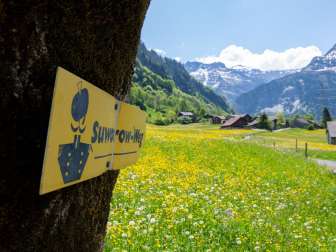 Soworow-Weg - Wegweiser