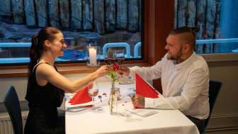 Candle Light Dinner 2026 07