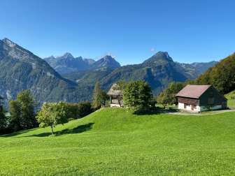 Plateau über Mollis