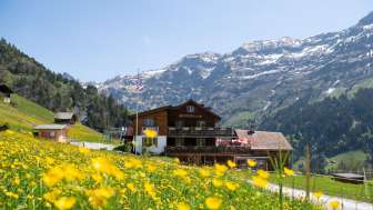 Berggasthaus Edelwyss