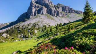 Blick in Richtung Schilt