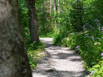 Auf dem Weg entlang des Klöntalersees