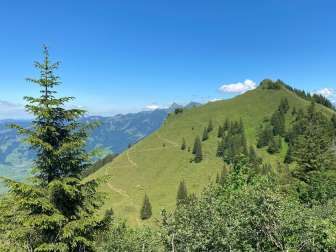 Route from Bilten to the Hirzli