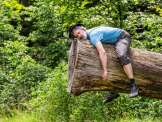 Gian Rupf liegt humorvoll auf einem großen Baumstamm im Wald