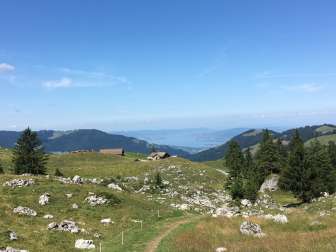 Panorama unterhalb Rossweidhöchi Richtung Zürichsee