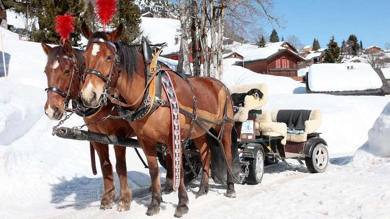 Horse carriage riding Braunwald