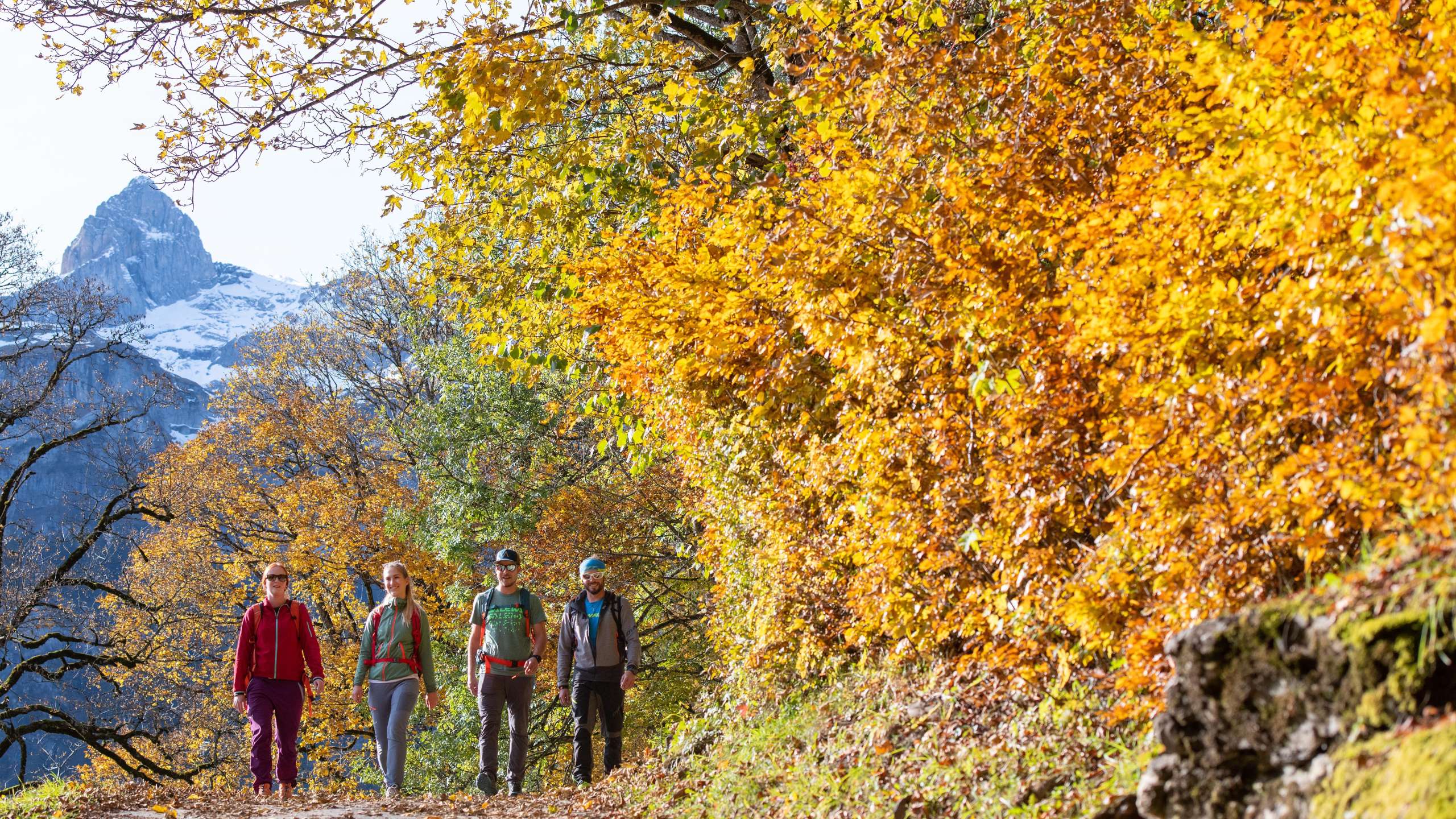 Top Autumn Hikes