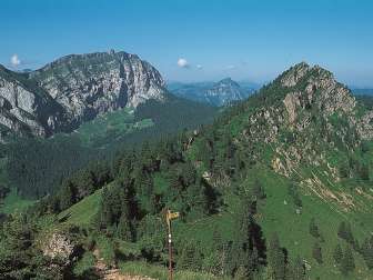 Hirzli