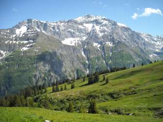 Oberämpächli