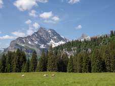 Landschaft in Braunwald