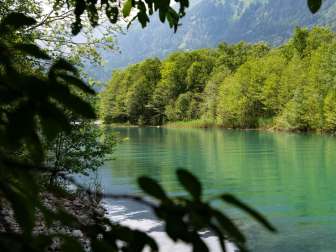 Impressions from the forest reserve