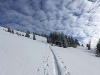 Ski touring feeling!