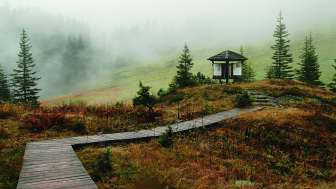 © Glarus Nature Centre