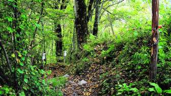 © Glarus Nature Centre