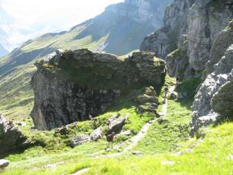 Descent towards Pleus